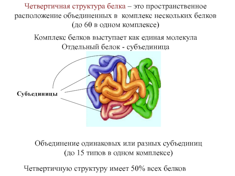 Рисунок четвертичной структуры белка