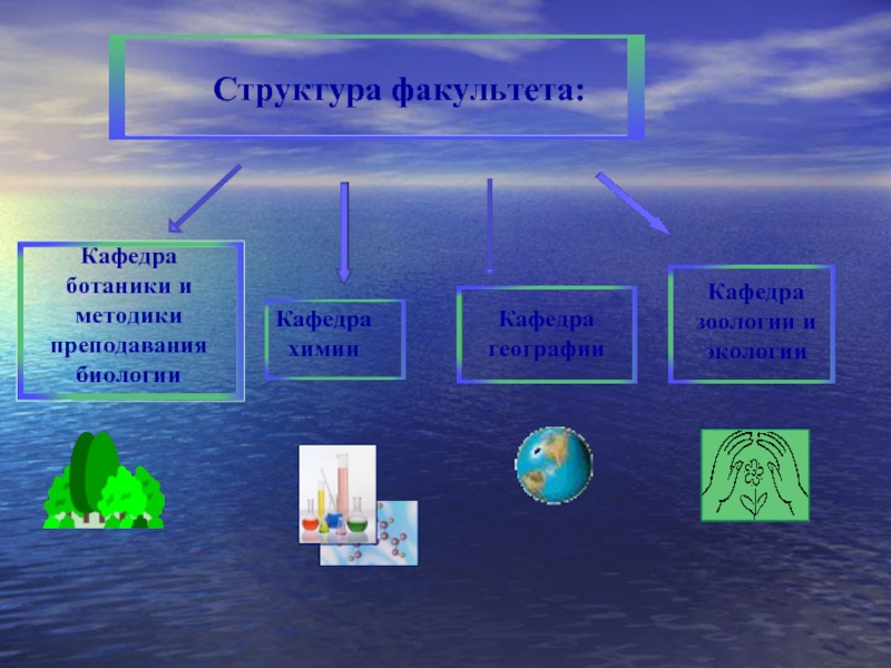 Естественно географический. Кафедра естествознания и географии сокращение.