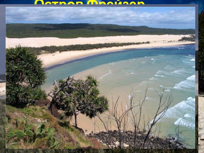 Остров Фрейзер Географические координаты - 34°ю.ш., 143°в.д.Остров Фрейзер расположен у Восточного побережья Австралии.Это самый большой остров в