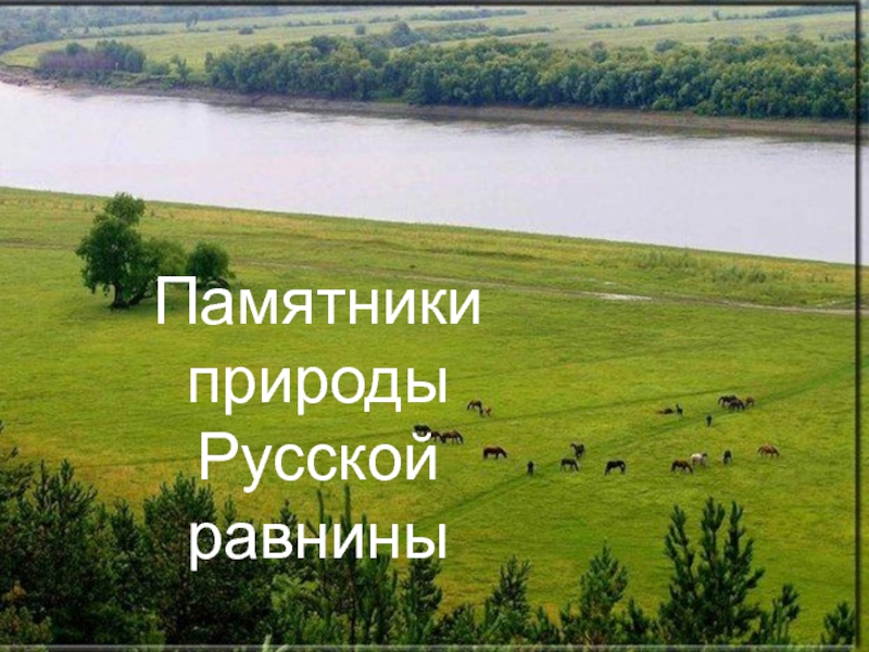Памятники природы
Русской равнины