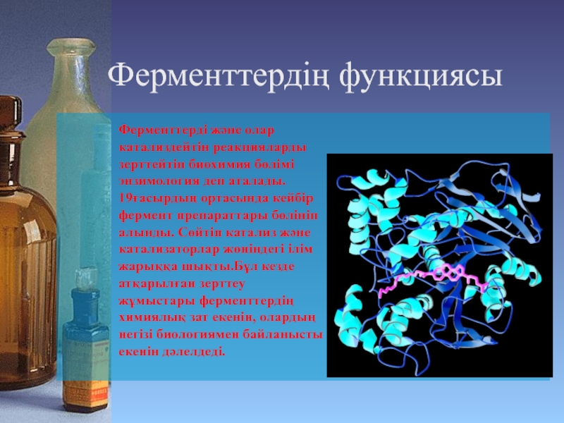Проект по химии на тему ферменты