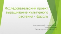 Исследовательский проект выращивание культурного растения - фасоль 3 класс