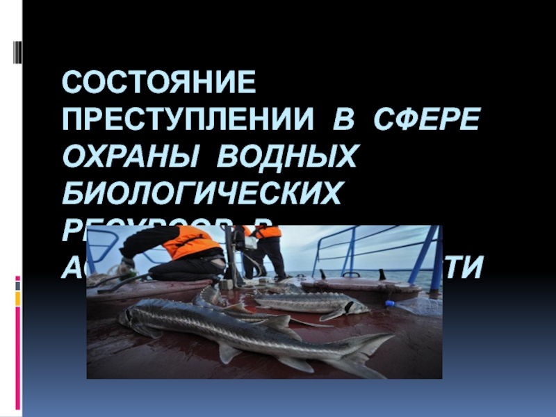 Состояние преступлении В СФЕРЕ ОХРАНЫ ВОДНЫХ БИОЛОГИЧЕСКИХ РЕСУРСОВ в