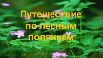 Задания по русскому языку для начальной школы