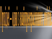 Орхідеї – одні з найпрекрасніших квітів