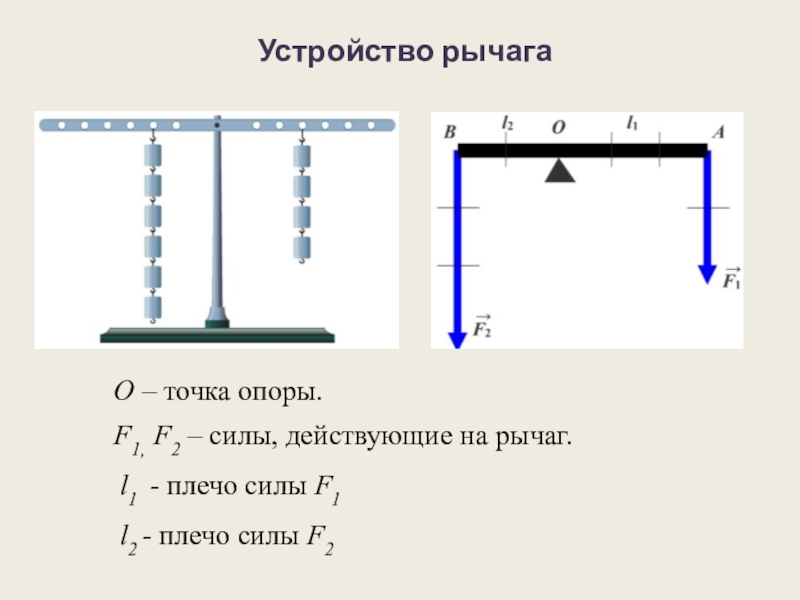 Силы на рисунке 1. Точка опоры рычага. Силы действующие на рычаг. Плечо силы f2. Плечо силы трения.