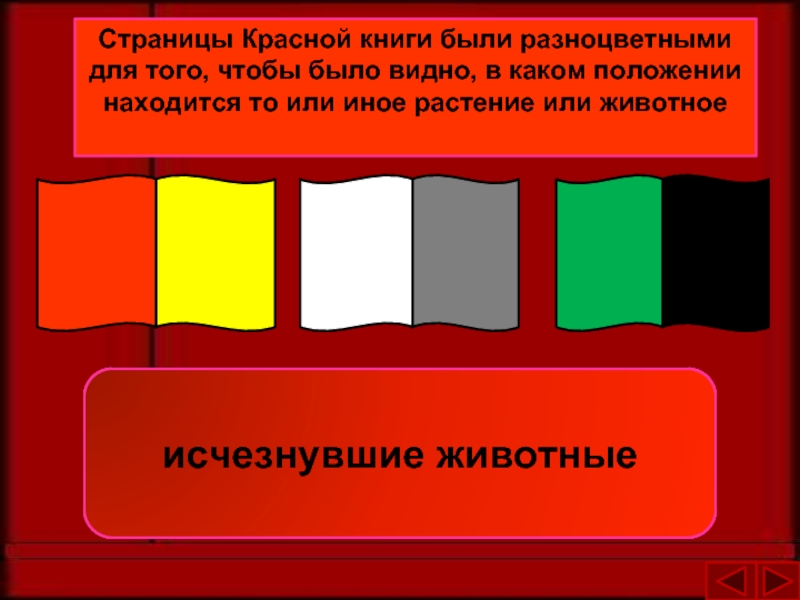 Страницы Красной книги были разноцветными для того, чтобы было видно, в каком положении находится то или иное