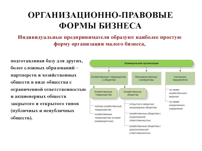 Предпринимательская деятельность и управление проектами