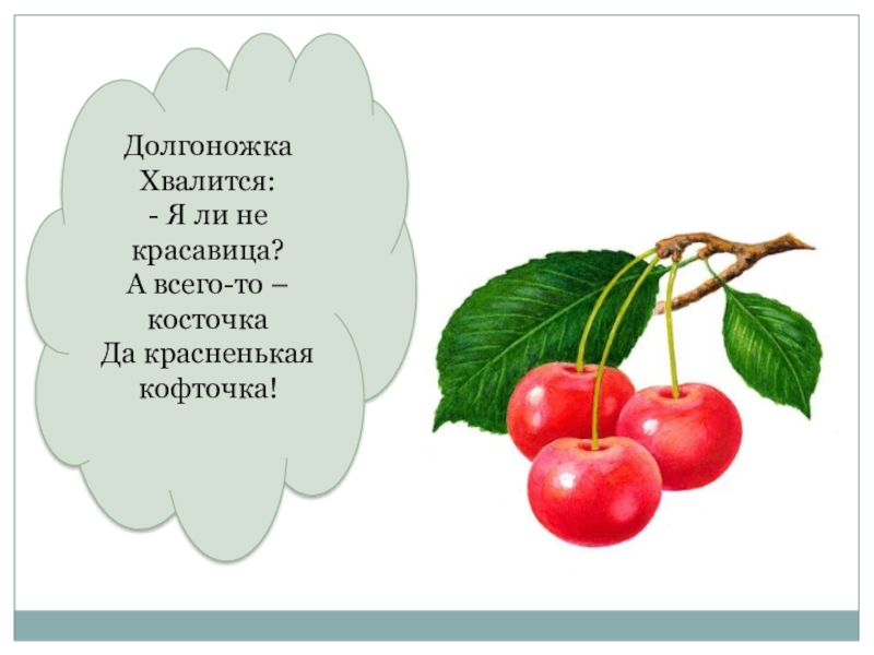 Я ли не красавица. Длинноножка хвалится я ли не красавица. Схема предложения долгоножка хвалится.