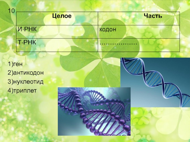 Геном два. Триплет дизайн. Триплет брошюра. Триплет a4. Ген 2.