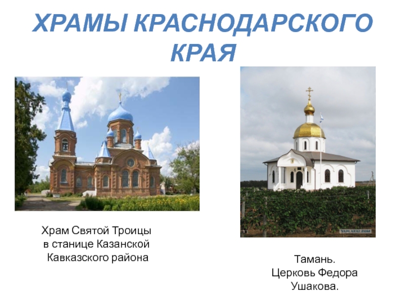 Храм в краснодарском крае в станице. Проект храмы Краснодарского края. Сообщение о церкви Краснодарского края. Проект про храмы Краснодарского края проект. Сообщение о церкви Краснодара.