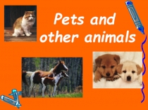 Pets and other animals