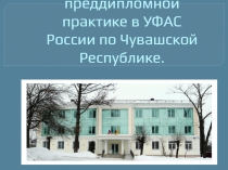 Отчет об преддипломной практике в УФАС России по Чувашской Республике