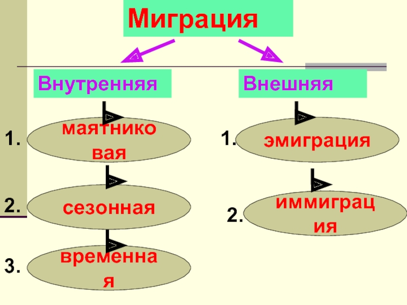 Миграции 8 класс презентация