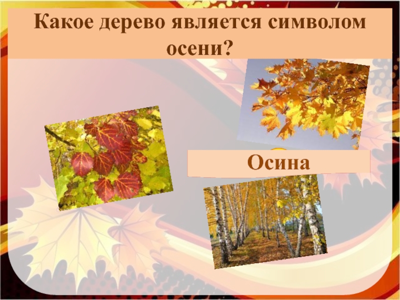 Какие деревья являются символом. Какое дерево является символом осени. Золотая осень презентация для старшеклассников.