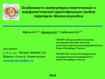 Особенности молекулярно-генетической и морфологической идентификации грибов