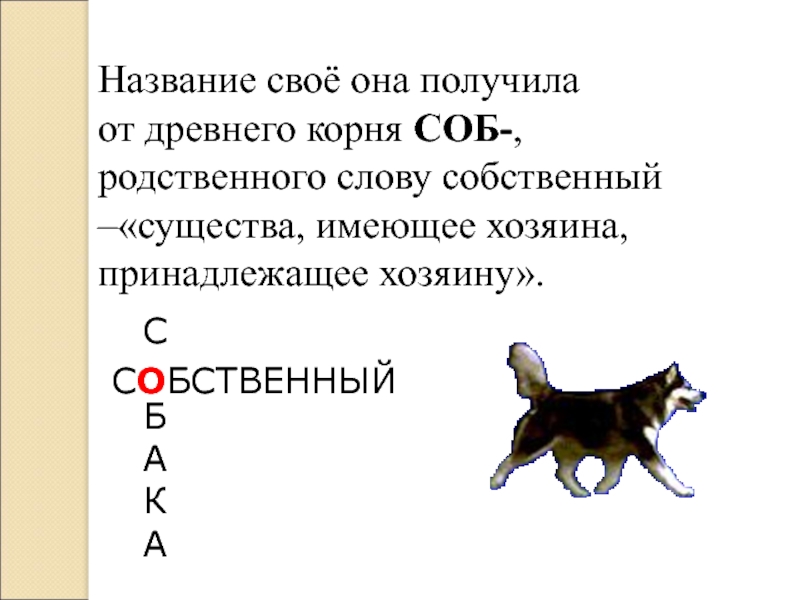 Соб документ