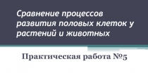 Сравнение процессов развития половых клеток у растений и животных