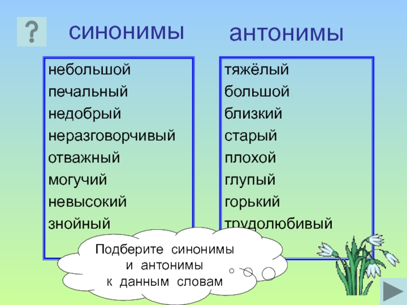 Автор проекта синоним