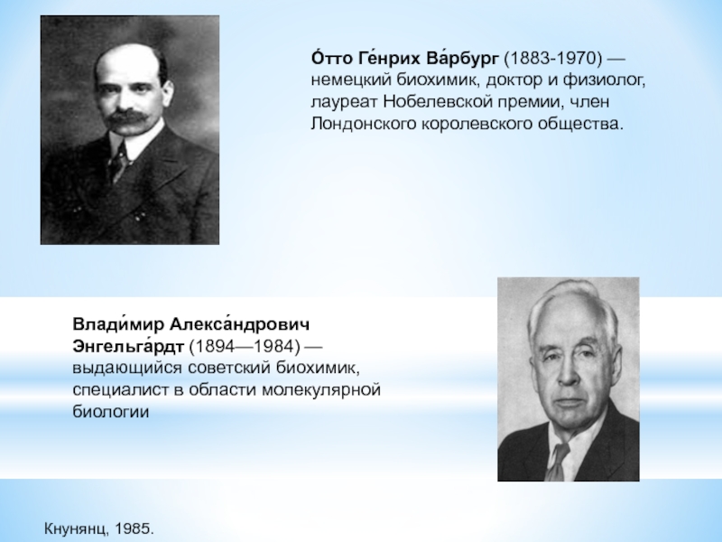 Влади́мир Алекса́ндрович Энгельга́рдт (1894—1984) — выдающийся советский биохимик, специалист в области молекулярной биологииО́тто Ге́нрих Ва́рбург (1883-1970) — немецкий биохимик,