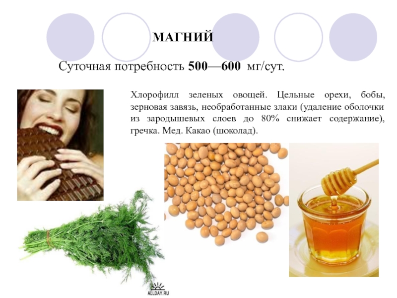 Магний суточная. Суточная потребность в хлорофилле. Продукты богатые хлорофиллом. Магний в гречке. Сут потребность магния.