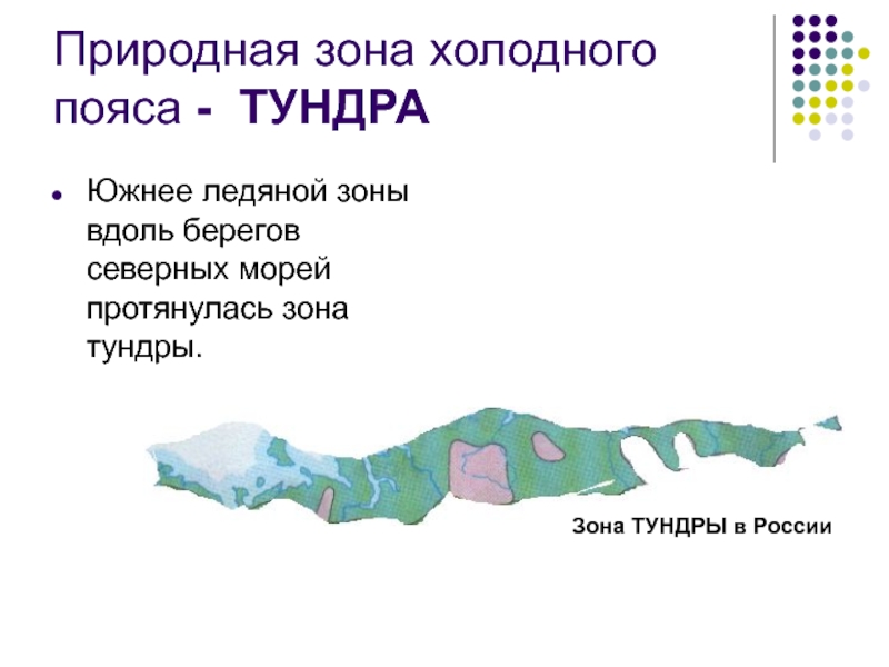 Эта природная зона протягивается вдоль северного побережья. Растения природных зон холодного пояса. Природные зоны полярного пояса. Холодные природные зоны. Природные зоны Ледяная зона.