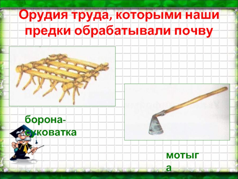Орудия труда, которыми наши предки обрабатывали почвумотыгаборона-суковатка