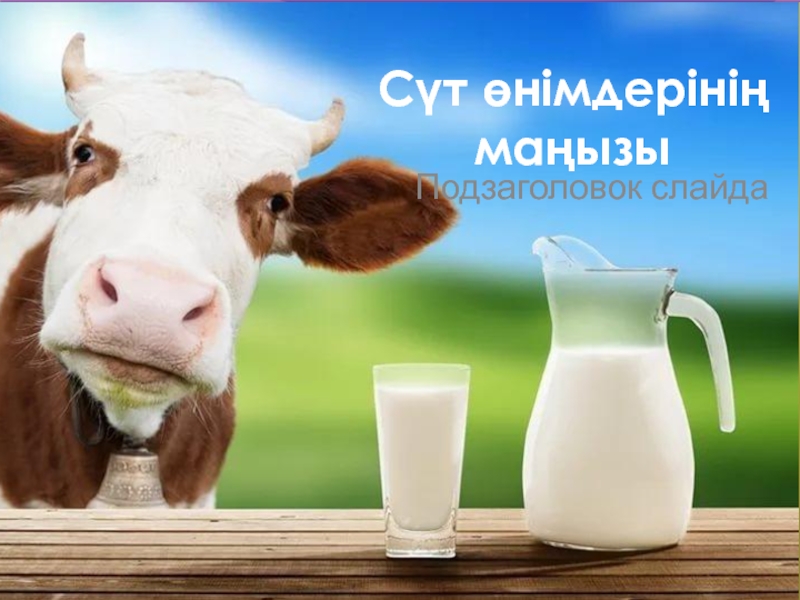 Сүт өнімдерінің маңызы