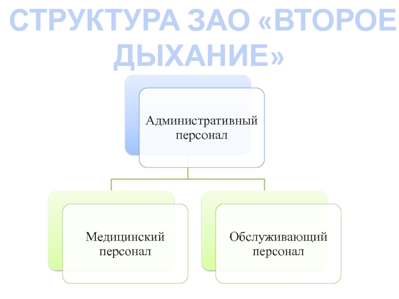 Зао 2. Структура ЗАО. Второе дыхание проект социальный. Организационная структура социального проекта второе дыхание. АНО второе дыхание.