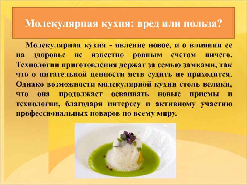 Реферат: Молекулярная кулинария – высокие технологии на кухне