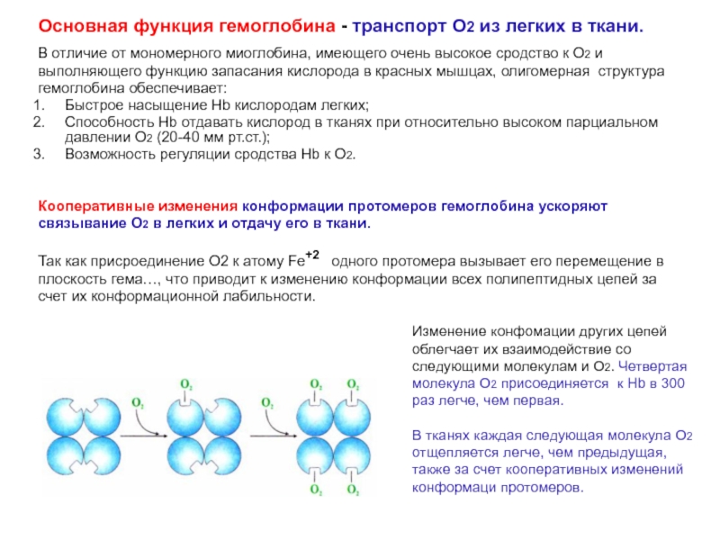 Каждые 4 молекулы