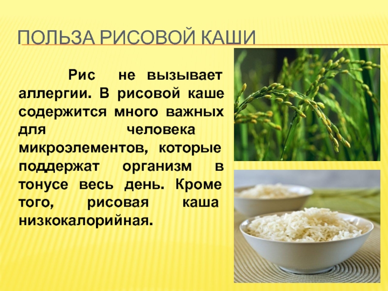 Для чего нужно есть рис. Чем полезен рис. Рисовая каша презентация. Рис полезные свойства. Что полезного в рисовой каше.