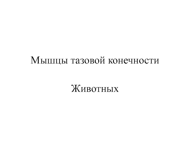 Мышцы тазовой конечности