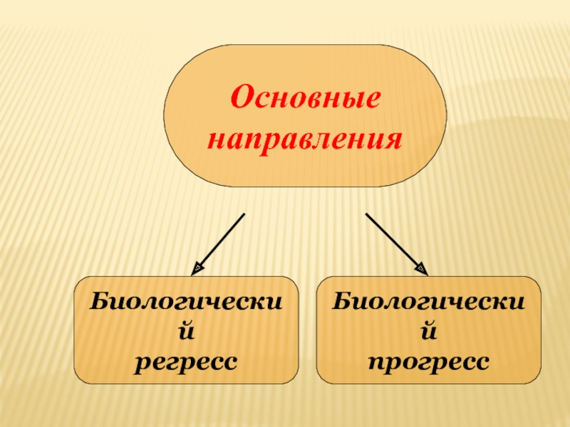 Главные направления эволюции презентация