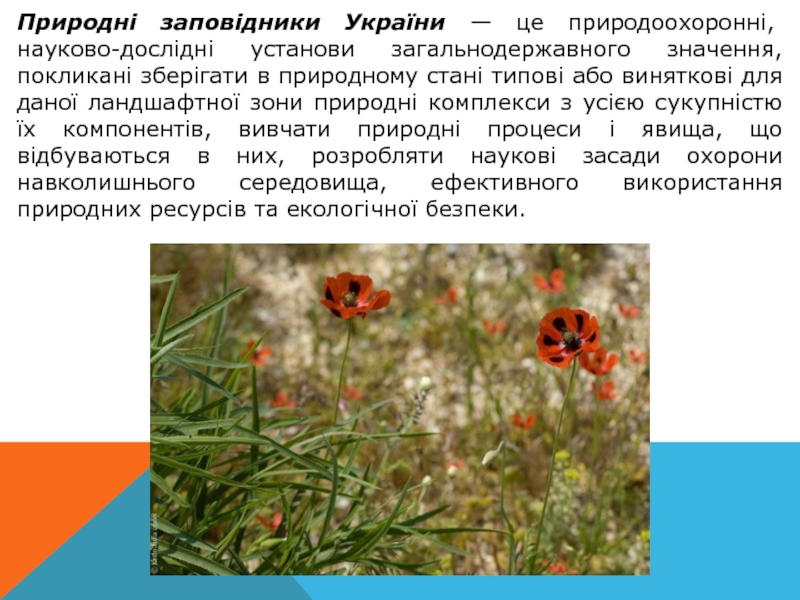 Природні заповідники України — це природоохоронні, науково-дослідні установи загальнодержавного значення, покликані зберігати в природному стані типові або