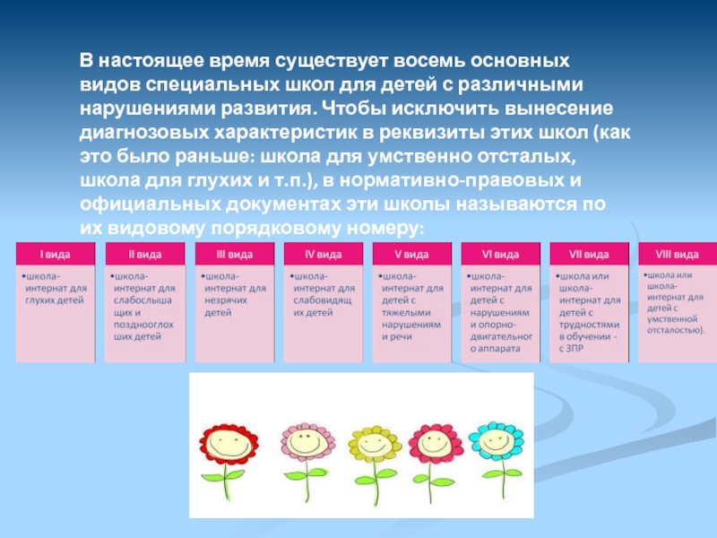 Условия образования детей. Типы специальных школ. Виды специальных школ для детей с различными нарушениями развития. Типы специальных образовательных учреждений для детей. Классификация специальных школ.