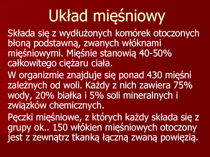 Układ mięśniowy