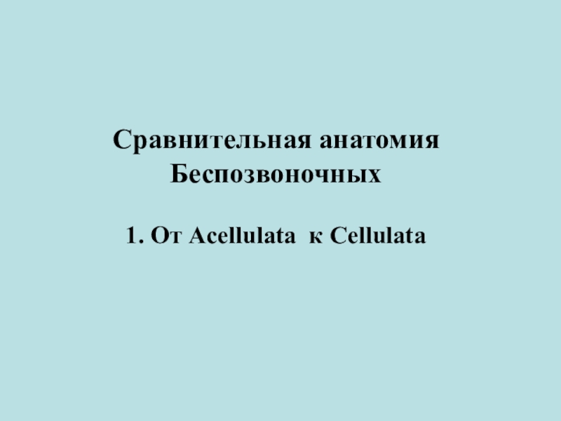 Презентация Сравнительная анатомия
Беспозвоночных
1. От Acellulata к Cellulata