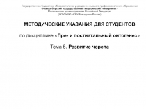 Государственное бюджетное образовательное учреждение высшего профессионального