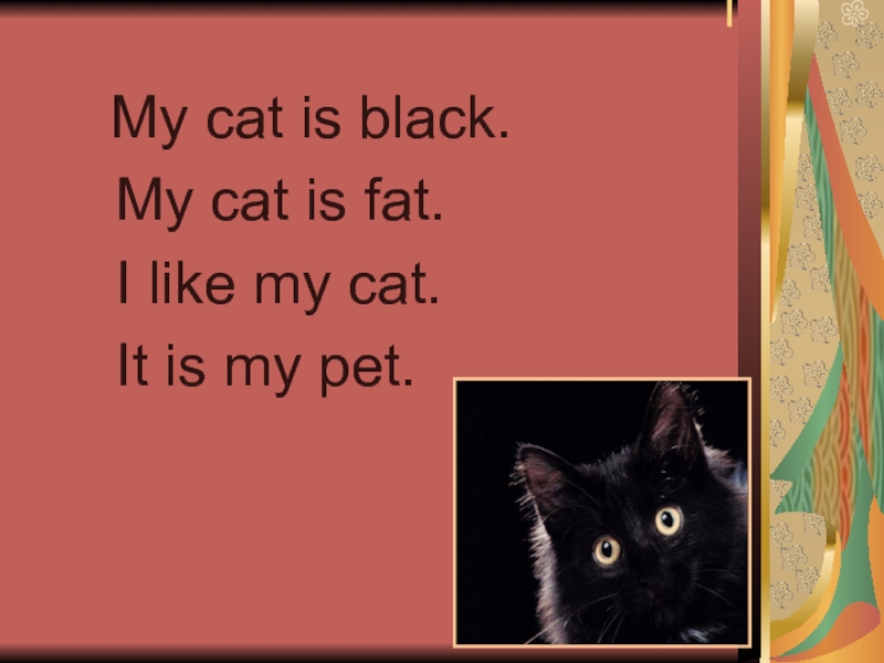 I    My cat is black.   My cat is fat.   I
