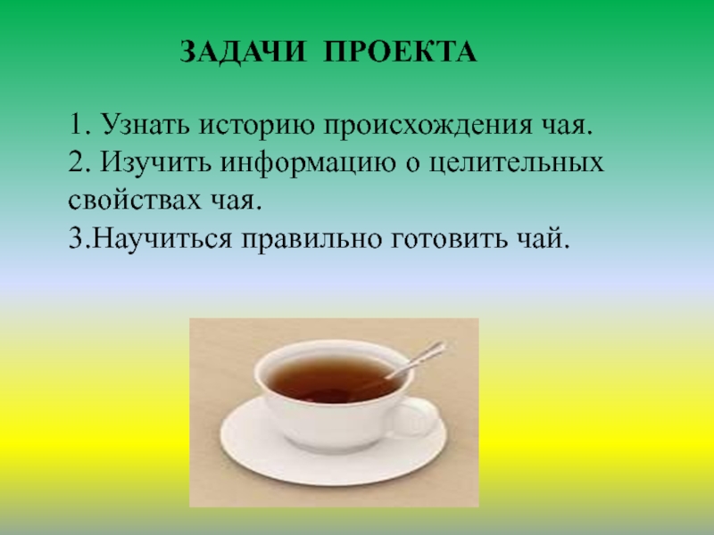 Что скрывается в чашке чая проект по биологии