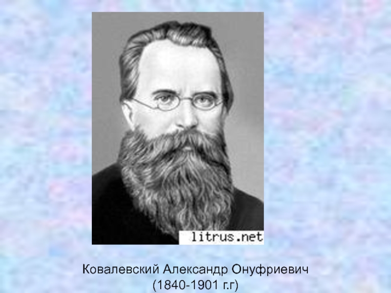 Ковалевский Александр Онуфриевич (1840-1901 г.г)