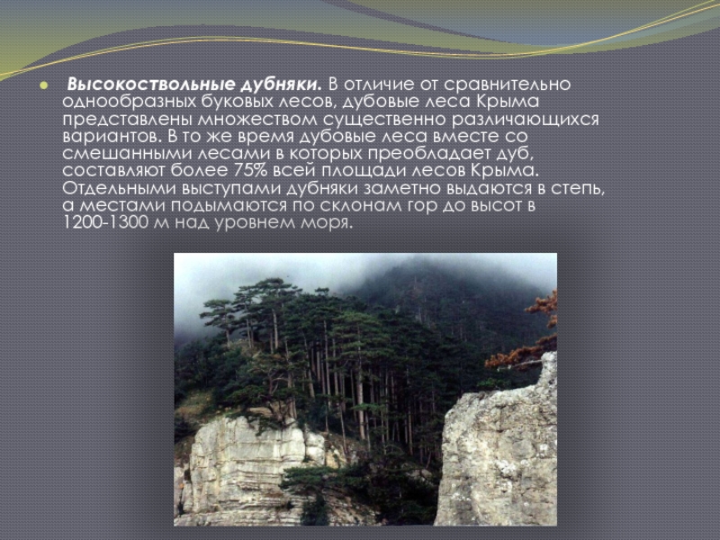 Высокоствольные дубняки. В отличие от сравнительно однообразных буковых лесов, дубовые леса Крыма представлены множеством существенно различающихся