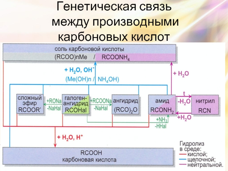 Генетическая связь  между производными карбоновых кислот
