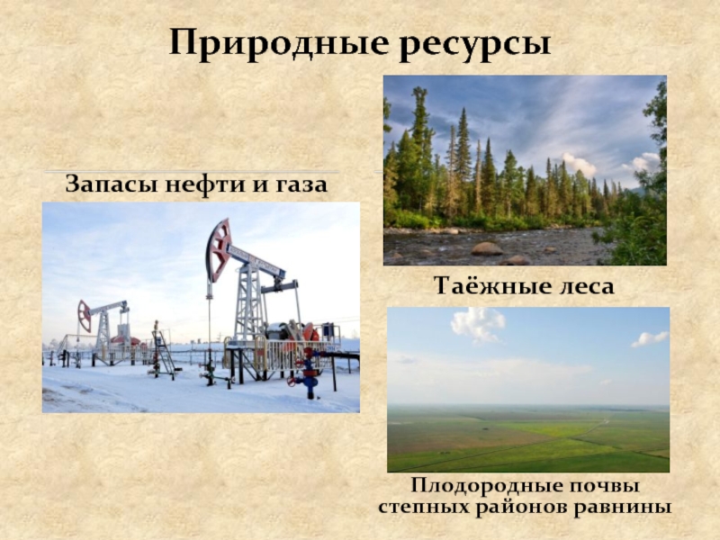 Какими ресурсами богата западная сибирь. Западно-Сибирский природно-территориальный комплекс. Западная Сибирь природные ресурсы Лесные. Природные комплексы Сибири. Природные ресурсы Западно сибирской равнины.