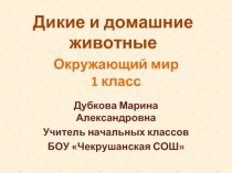 Дикие и домашние животные