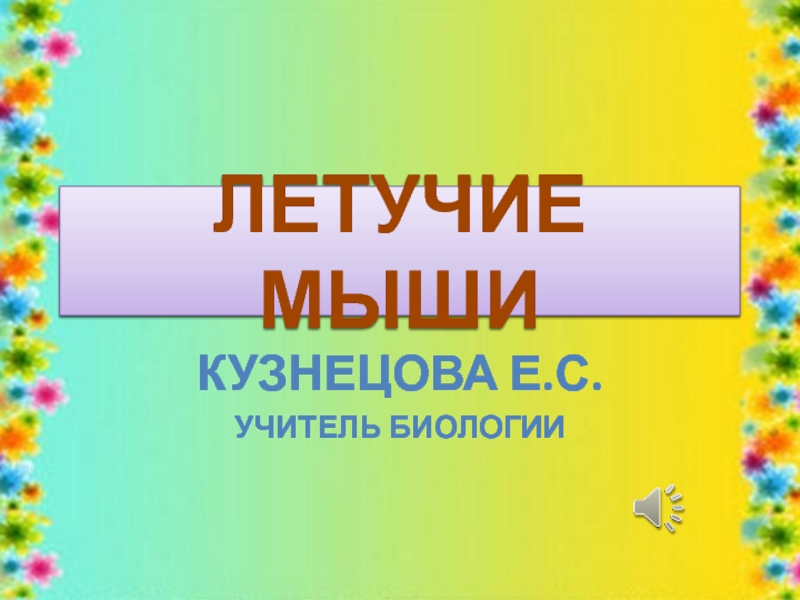 Презентация ЛЕТУЧИЕ МЫШИ