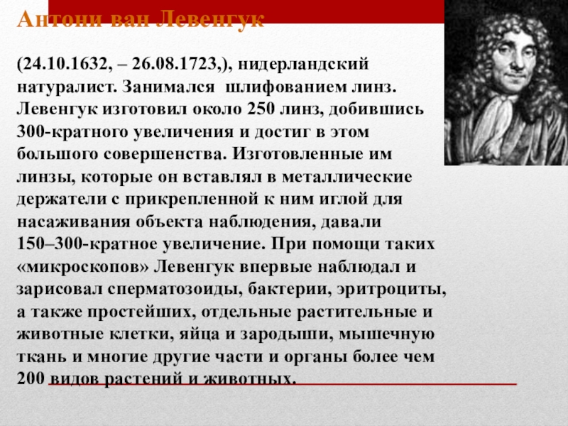 Нидерландский натуралист. Левенгук. Антони Ван Левенгук краткая биография. Линзы Левенгука. Левенгук биография кратко.