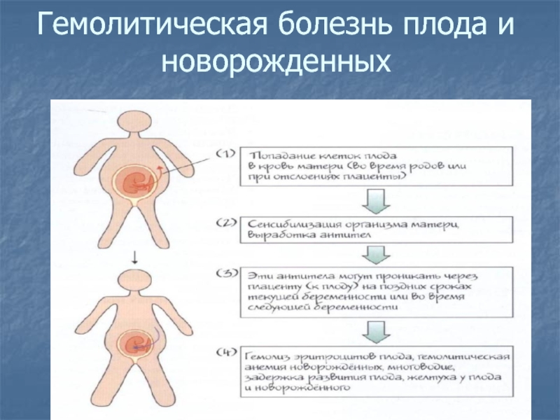 Гемолитическая болезнь новорожденных педиатрия презентация