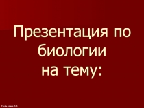 Исследования Менделя. Моногибридное скрещивание